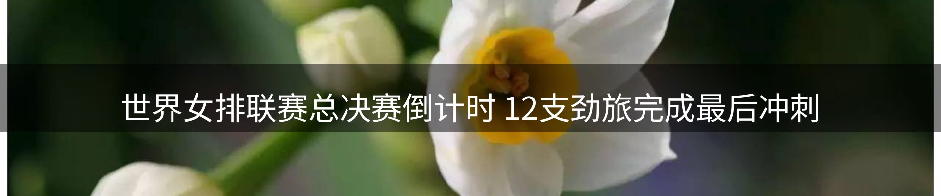 行业资讯