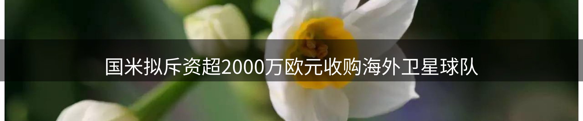 焦点亮点