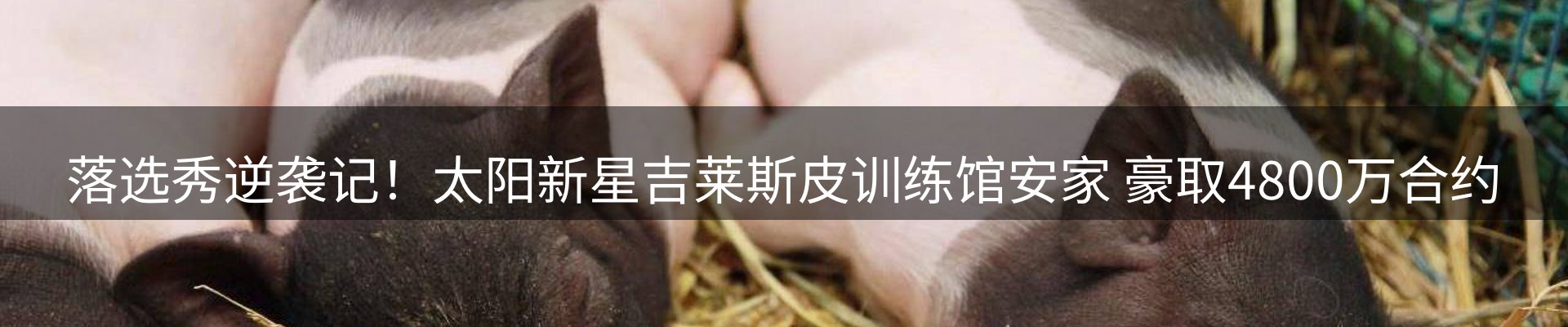 行业资讯