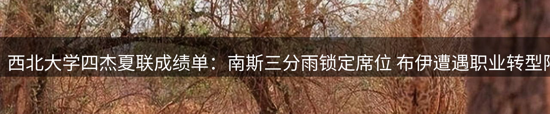 行业资讯