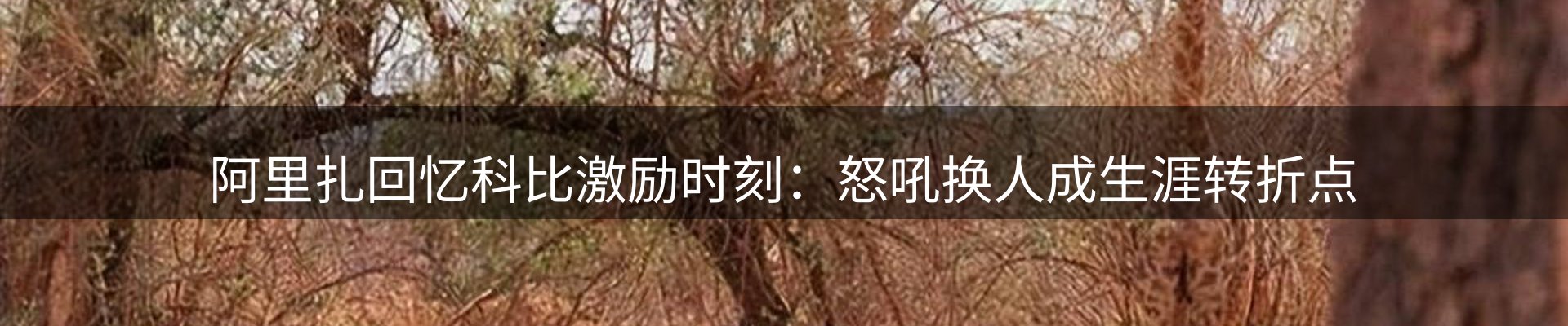 行业资讯